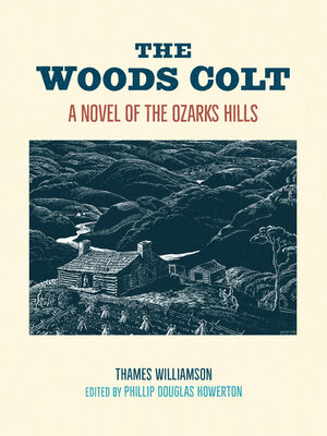 cover image of The Woods Colt